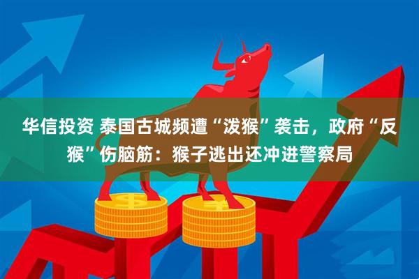 华信投资 泰国古城频遭“泼猴”袭击，政府“反猴”伤脑筋：猴子逃出还冲进警察局