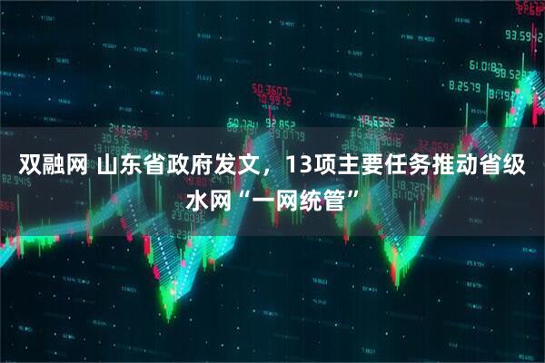 双融网 山东省政府发文，13项主要任务推动省级水网“一网统管”