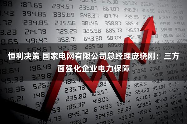 恒利决策 国家电网有限公司总经理庞骁刚：三方面强化企业电力保障