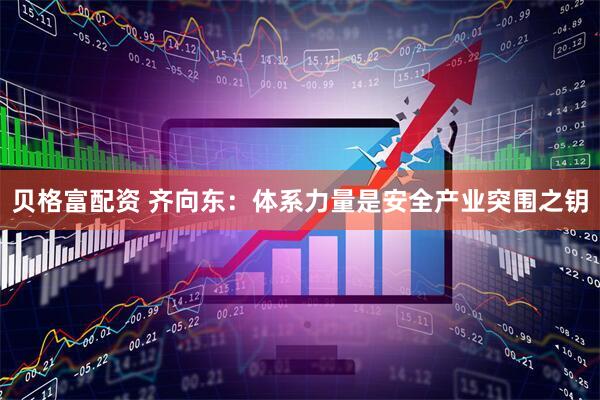 贝格富配资 齐向东：体系力量是安全产业突围之钥