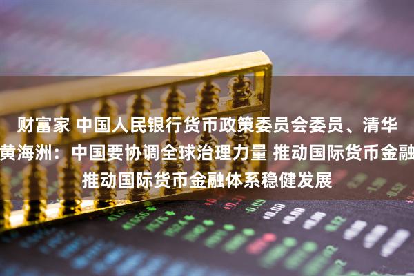 财富家 中国人民银行货币政策委员会委员、清华大学特聘教授黄海洲：中国要协调全球治理力量 推动国际货币金融体系稳健发展