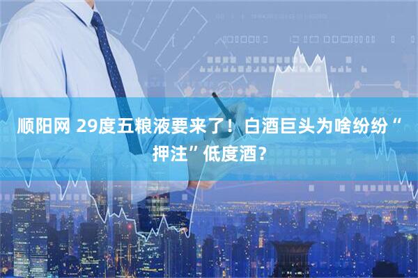 顺阳网 29度五粮液要来了！白酒巨头为啥纷纷“押注”低度酒？