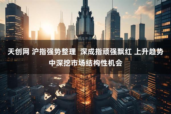 天创网 沪指强势整理  深成指顽强飘红 上升趋势中深挖市场结构性机会